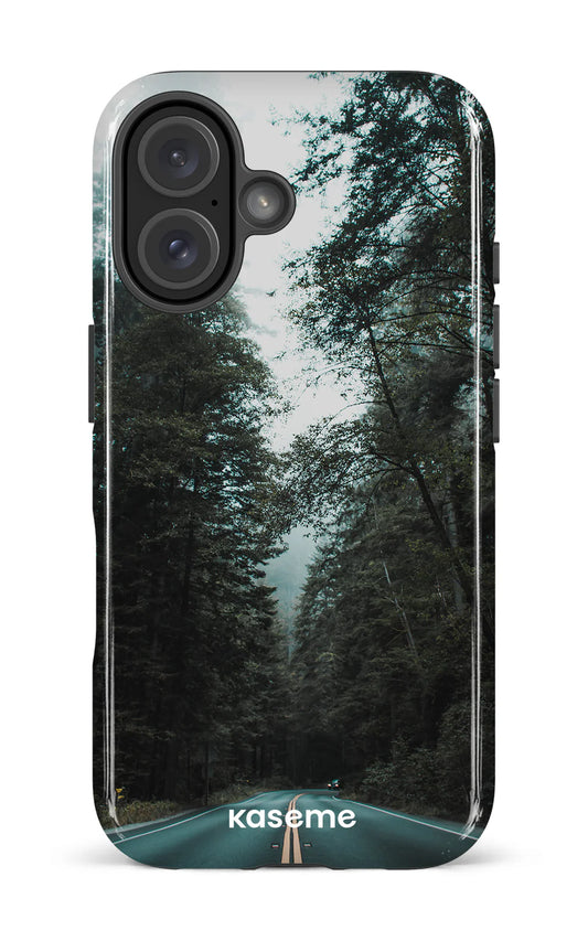 Sequoia